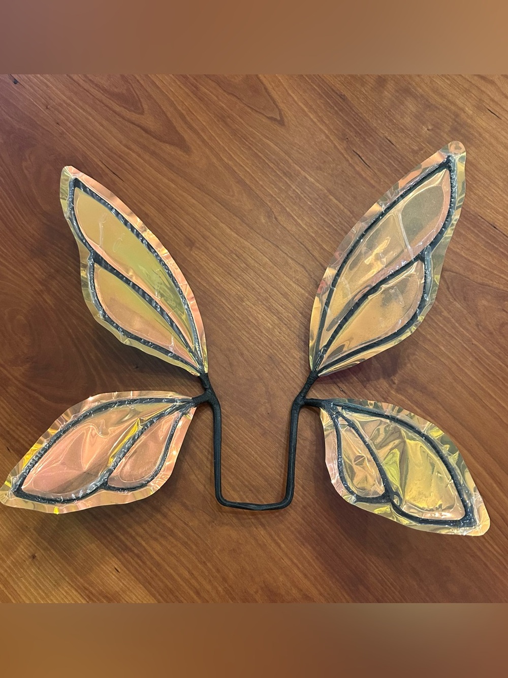 Iridescent Fairy Wings. Never Used!